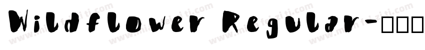 Wildflower Regular字体转换